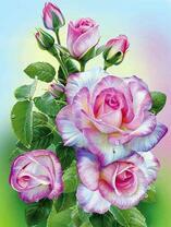 Необычные розы в каплях росы