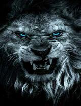 Оскал голубоглазого льва