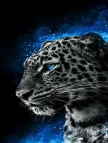 Леопард в голубом дыму