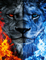 Холодная и горячая сторона льва