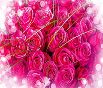 Большой букет розовых роз