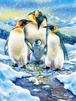 Пингвины и их малыш