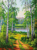 Дорога среди берез к озеру