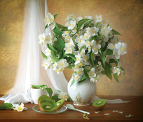 Букет жасмина и цветы