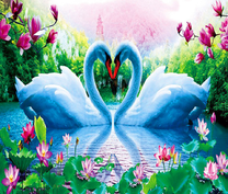 Лебединое счастье
