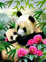 Мама-панда и ее малыш