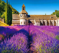 Лавандовое поле за стеной крепости