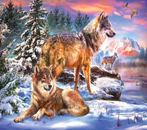 Волки у зимней реки