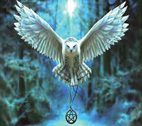 Полярная сова несет оберег