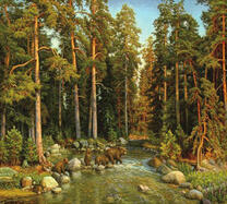 Медведи на переправе в сосновом бору