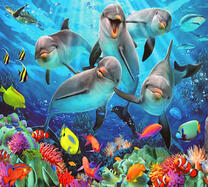 Стая веселых дельфинов