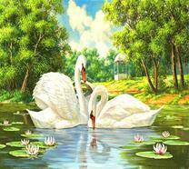 Лебеди на озере в парке