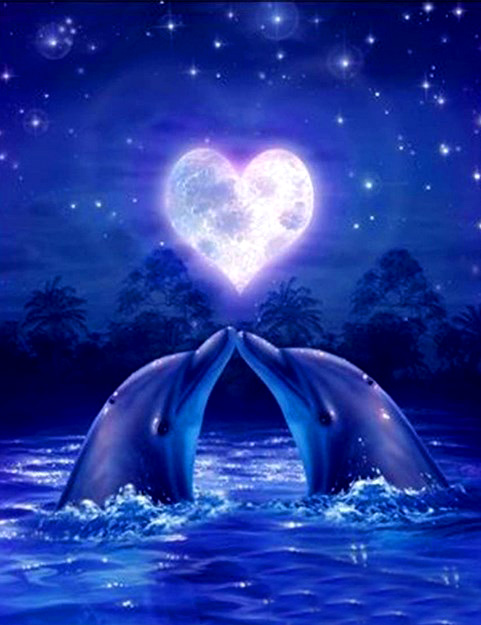 Алмазная мозаика 40x50 Влюбленные дельфины на фоне лунного сердца