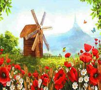 Мельница возле поляны с маками