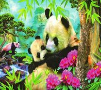 Заповедная зона с пандами