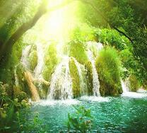 Водопады в густом лесу