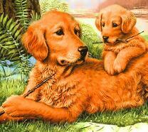 Собака и щенок с палками у озера