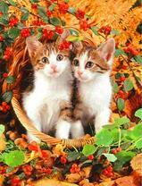 Два котёнка в корзине с ягодами