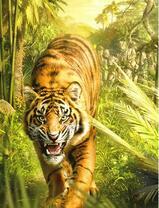 Злой тигр идет в джунглях