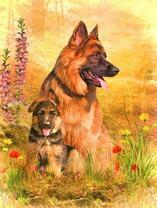 Овчарка и ее щенок в лесу