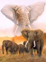 Стадо слонов и их покровитель