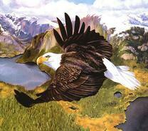 Орлан высоко над горами