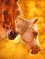 Две лошади в солнечных лучах