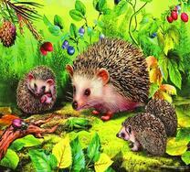 Семья ежей собирает ягоды