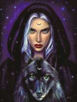 Девушка луна и ночной волк