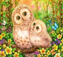 Две пушистых совы в весеннем лесу