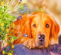 Милая собачка и полевые цветы