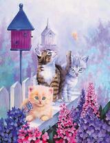 Три разных котёнка на заборчике у цветов