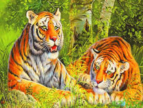 Двое злых тигров на отдыхе