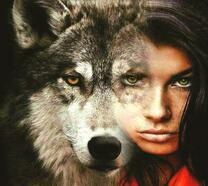 Волчица и девушка