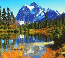 Снежные вершины гор и осень в лесу