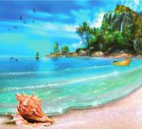 Ракушка на берегу тропического острова