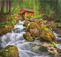 Водяная мельница в лесной чаще