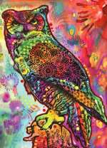 Филин в красочном обличии