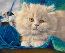 Пушистый котёнок рядом с клубком