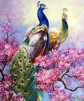 Красота павлинов на цветущей ветке