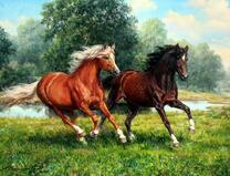 Лошадиный аллюр