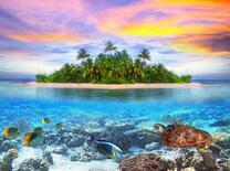 Остров с пальмами в океане