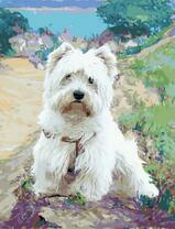 Белый терьер на тропинке