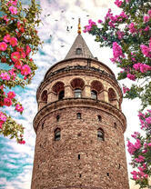 Галатская башня среди цветов