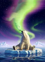 Белый мишка и северное сияние