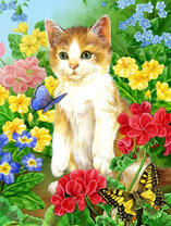 Котёнок в цветах с бабочками