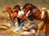 Стая лошадей на реке