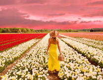 Девушка в желтом платье на поле тюльпанов