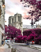 Нотр-Дам-де-Пари в розовом городе