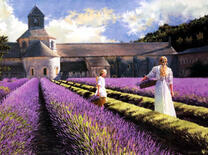 Сбор лаванды возле стены